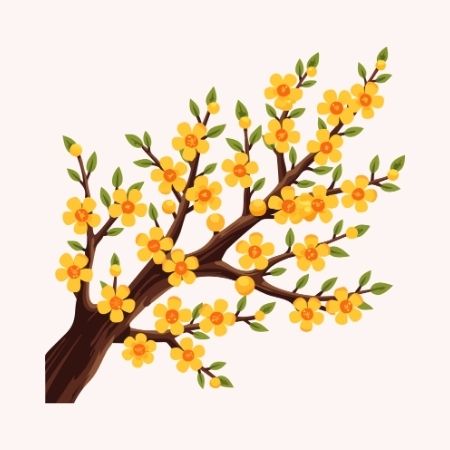 Ảnh Tết Nguyên Đán